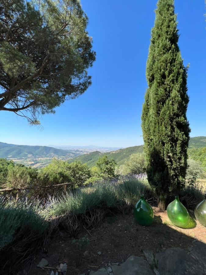 Coppa Di Sopra - Beautiful Villa With Superb View Santa Cristina  ภายนอก รูปภาพ